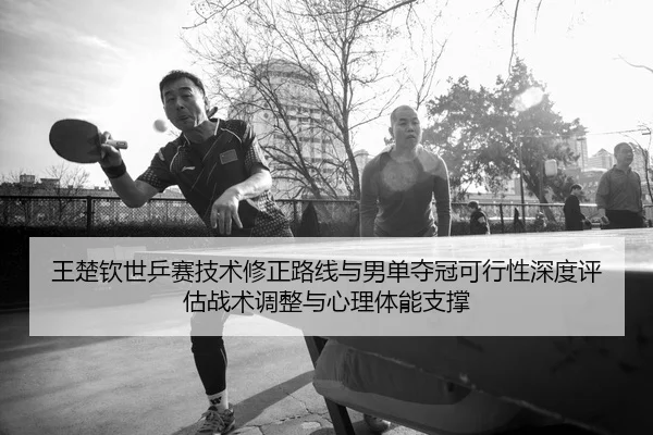 wang-chu-qin-shi-ping-sai-ji-shu-xiu-zheng-lu-xian-yu-nan-dan-duo-guan-ke-xing-xing-shen-du-ping-gu-zhan-shu-tiao-zheng-2-992.jpg