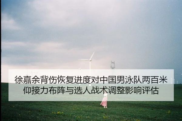 徐嘉余背伤恢复进度对中国男泳队两百米仰接力布阵与选人战术调整影响评估